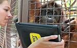 Thumbnail image for iPads for Apes: Did Arthur C. Clarke Get It Right Again?!