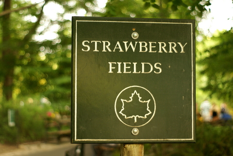 Strawberry Fields Forever