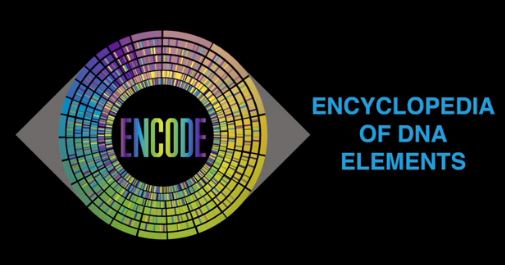 ENCODE