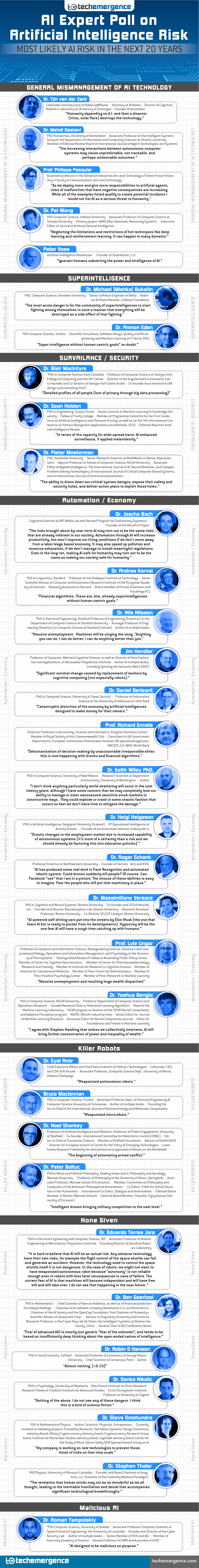 AI Risk infographic