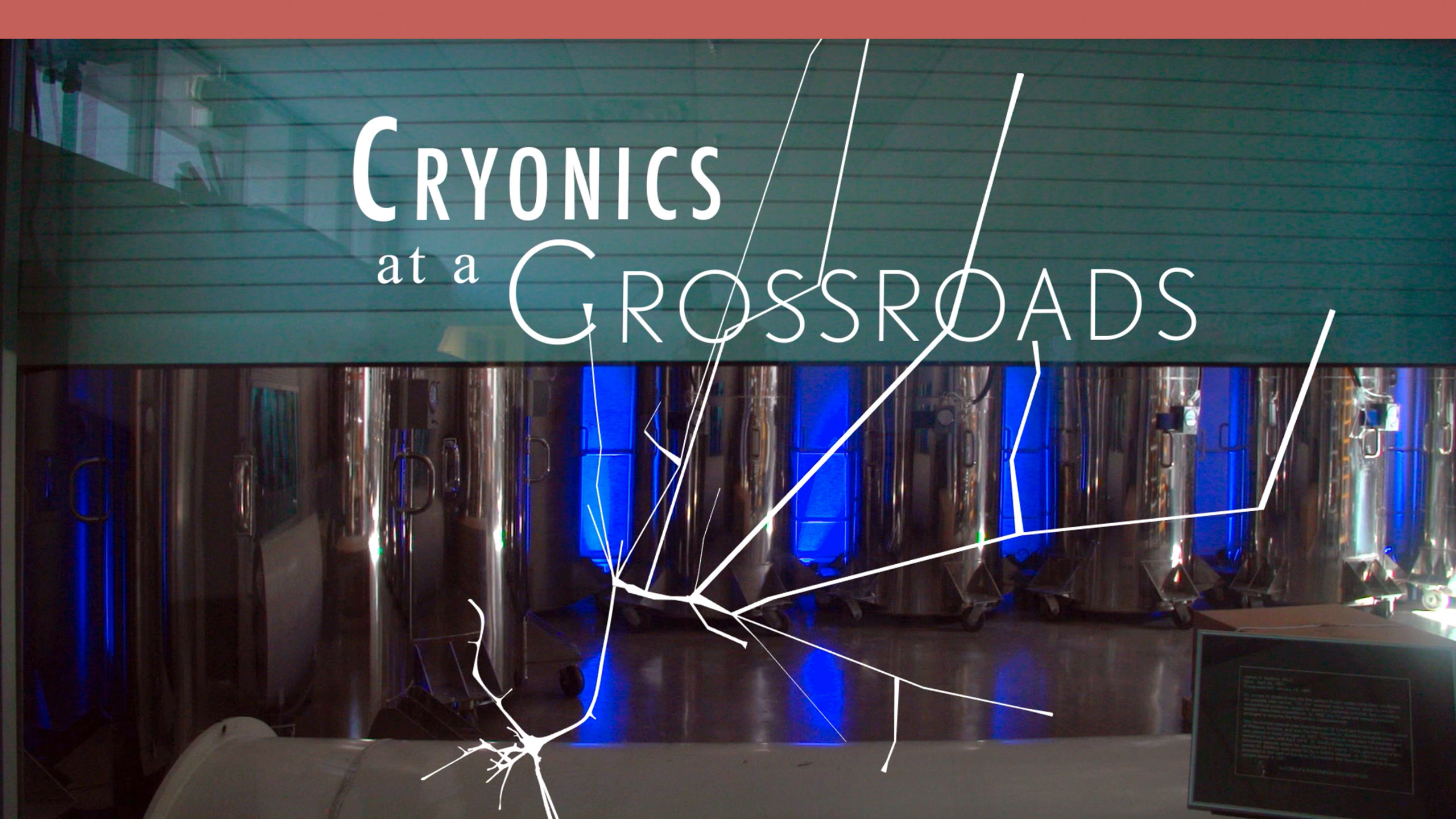 Cryonics_at_a_Crossroads