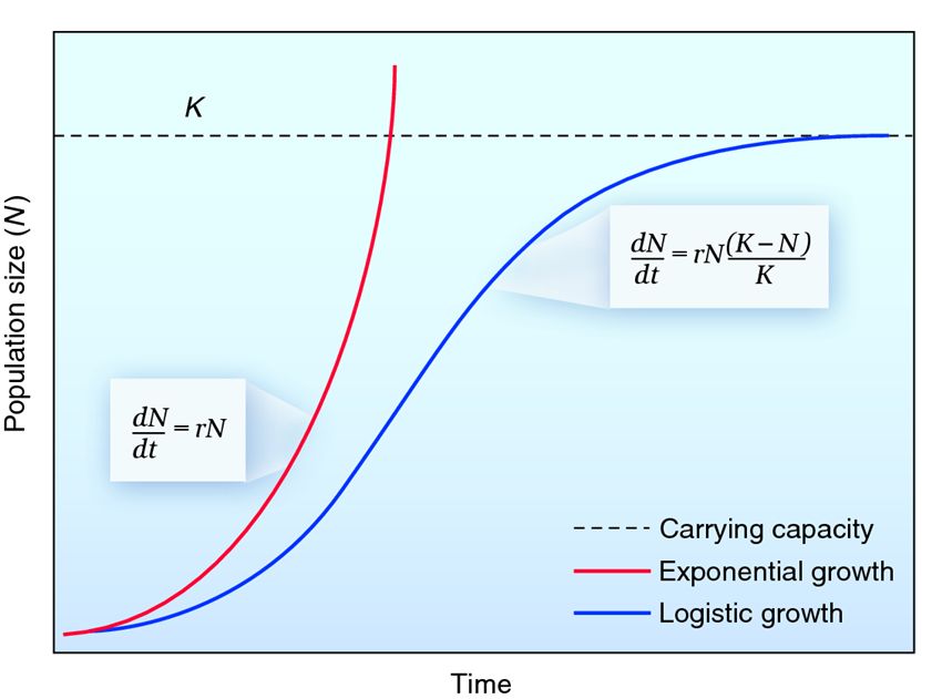 Exponential vs Logistical Growth