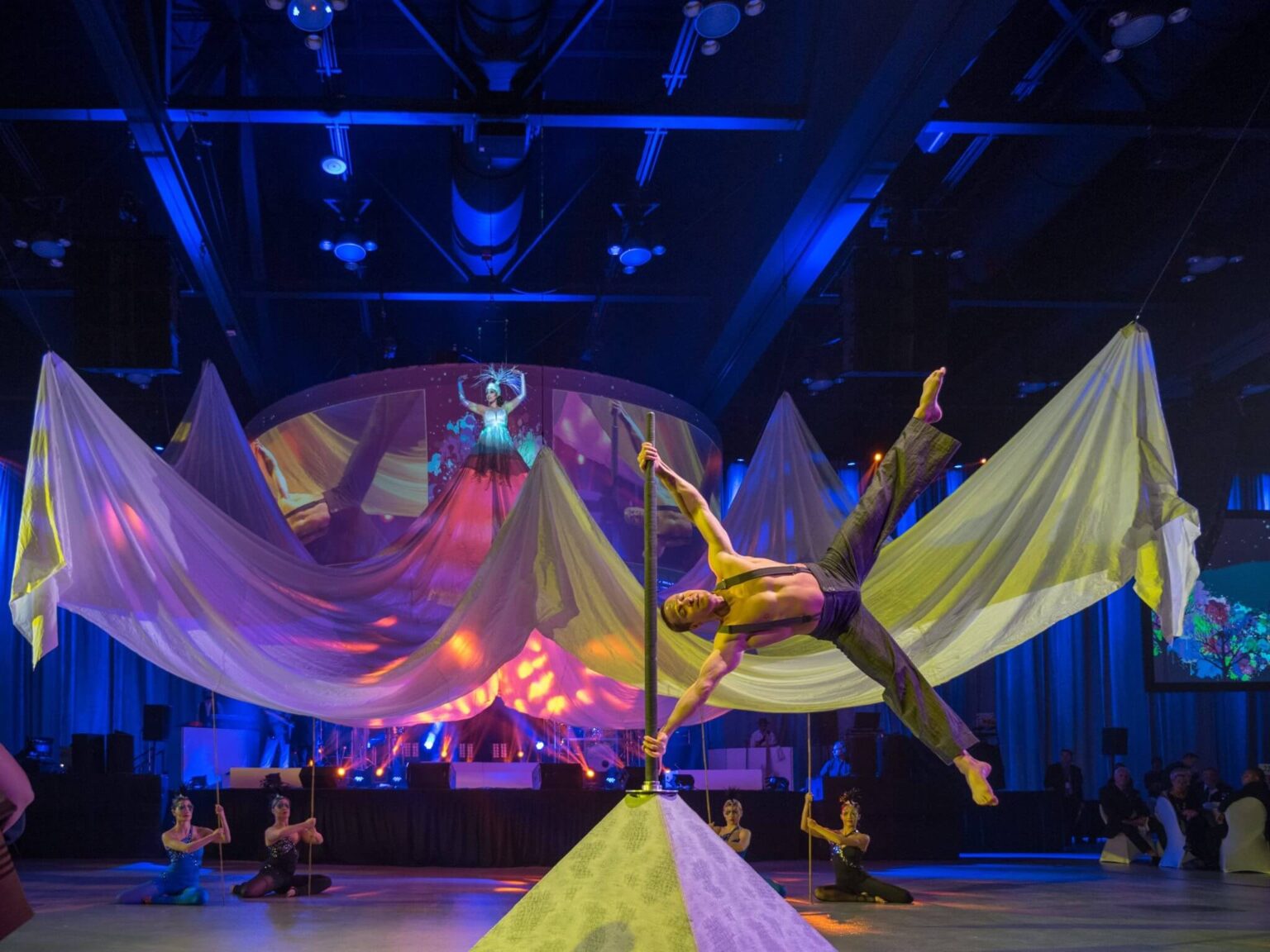 The Future of Circus