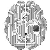 Motherboard brain on white background for technology concept design