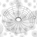 Illustration of circle graphic net line.