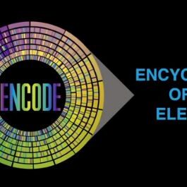 ENCODE