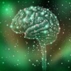 Brain intelligence discovery with a human brain shape made of stars and planets in a space beckground as a neurological health concept for research and solutions.