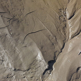 River mud exposed as the tide has retreated and left it to drain in the afternoon sunshine.