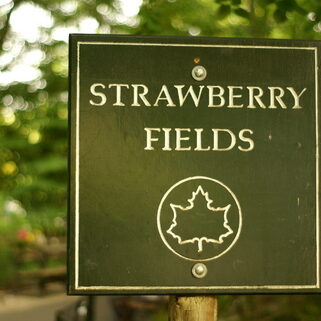 Strawberry-Fields-Forever