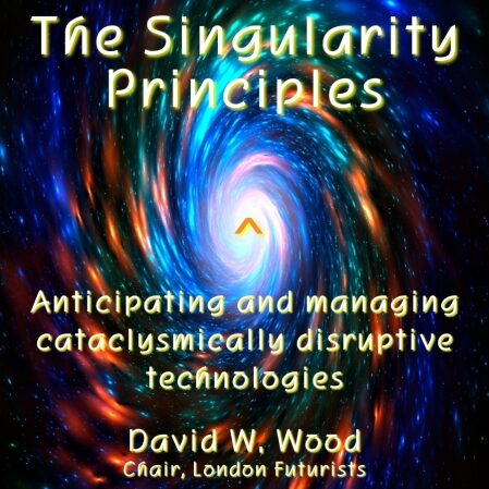 The Singularity Principles by David Wood