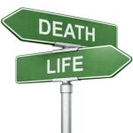 3d rendering of signs with "LIFE" and "DEATH" pointing in opposite directions