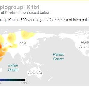 maternal-haplogroup-k1b11